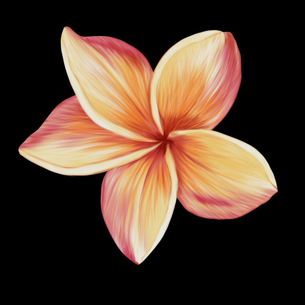 plumeria